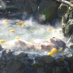 2-%e3%81%82%e3%81%a3%e3%81%9f%e3%81%8b%e3%81%84