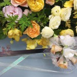 20180630中村wd (2)